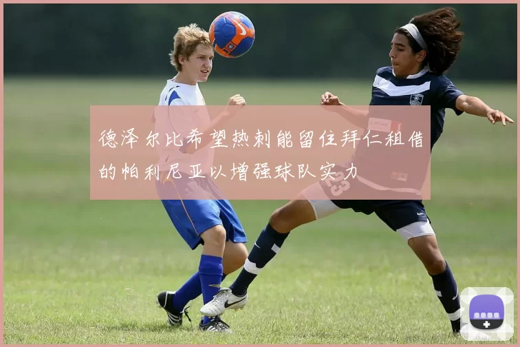德泽尔比希望热刺能留住拜仁租借的帕利尼亚以增强球队实力
