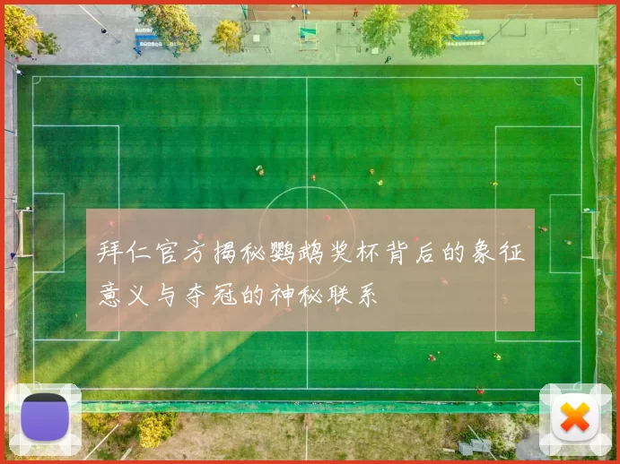 拜仁官方揭秘鹦鹉奖杯背后的象征意义与夺冠的神秘联系