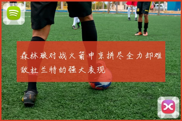 森林狼对战火箭申京拼尽全力却难敌杜兰特的强大表现
