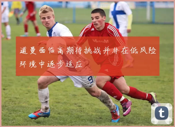 道曼面临高期待挑战并非在低风险环境中逐步适应