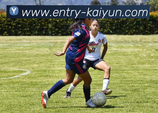 开云体育服务体系